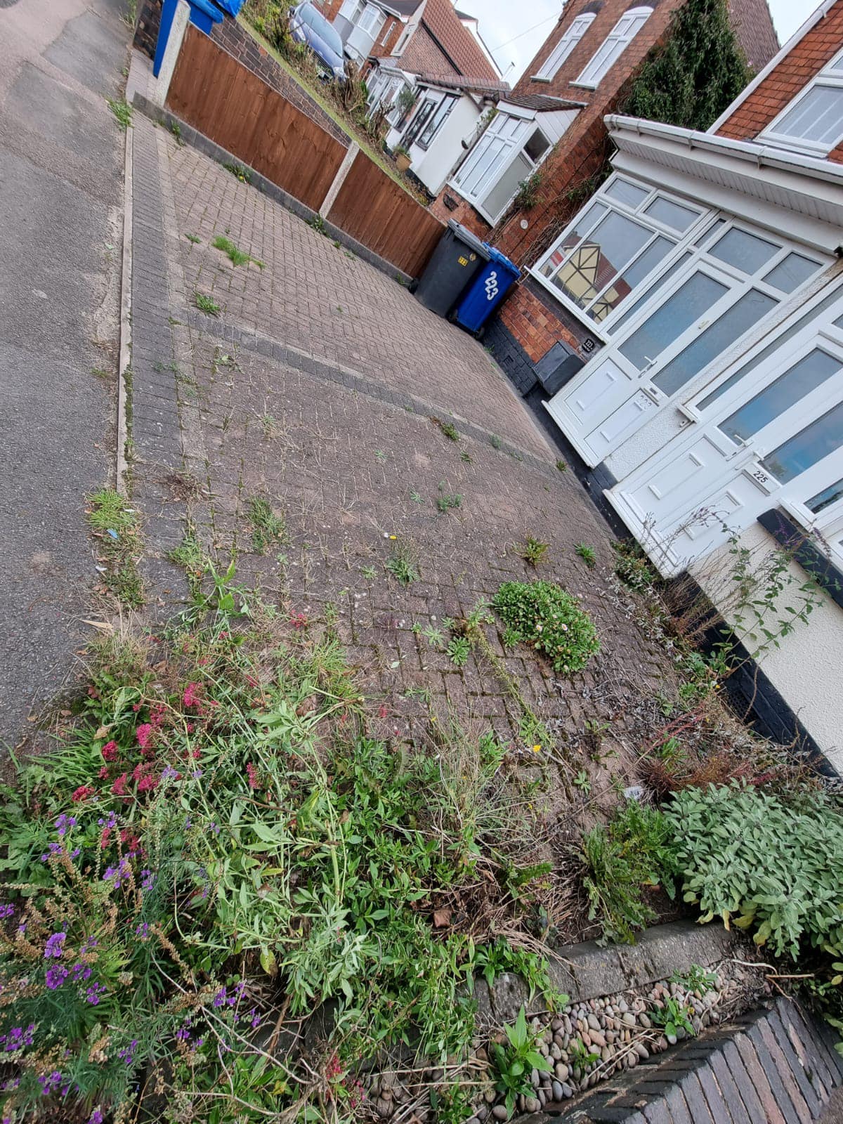 Driveway before pressure washing