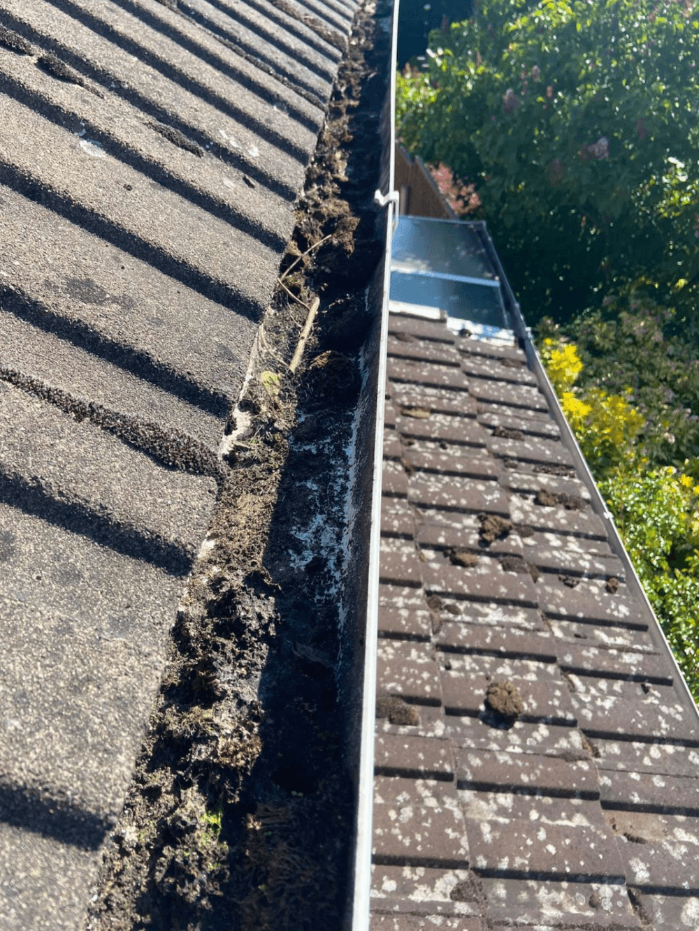 Gutter before cleaning