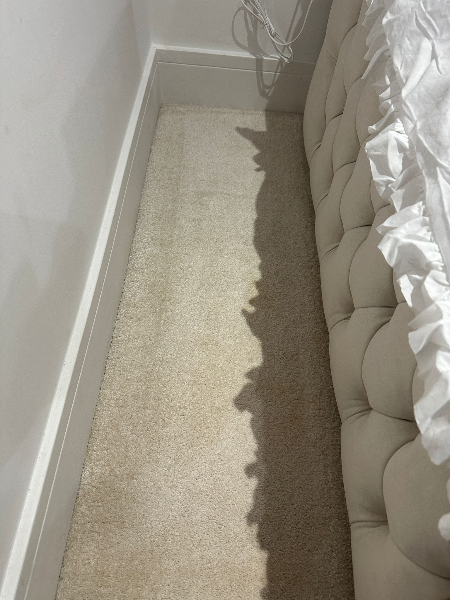 Carpet after cleaning