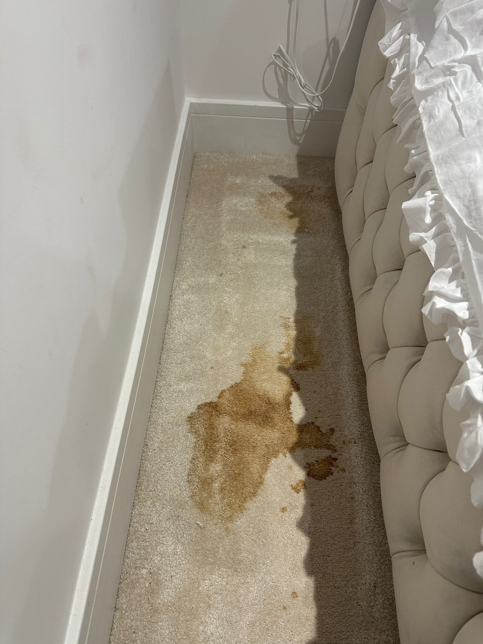 Carpet before cleaning